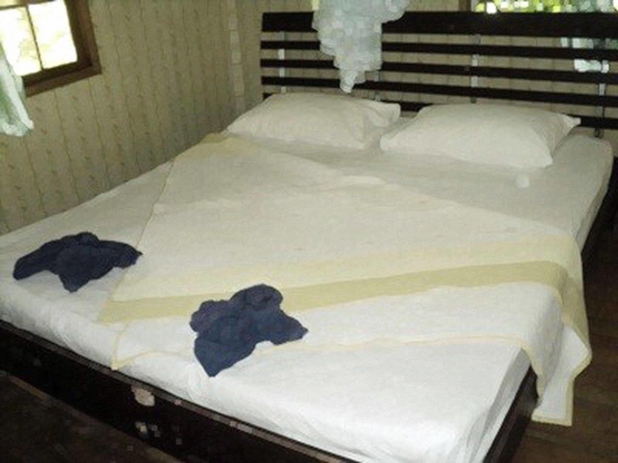 Khaosok Island Resort Khao Sok National Park Exterior foto
