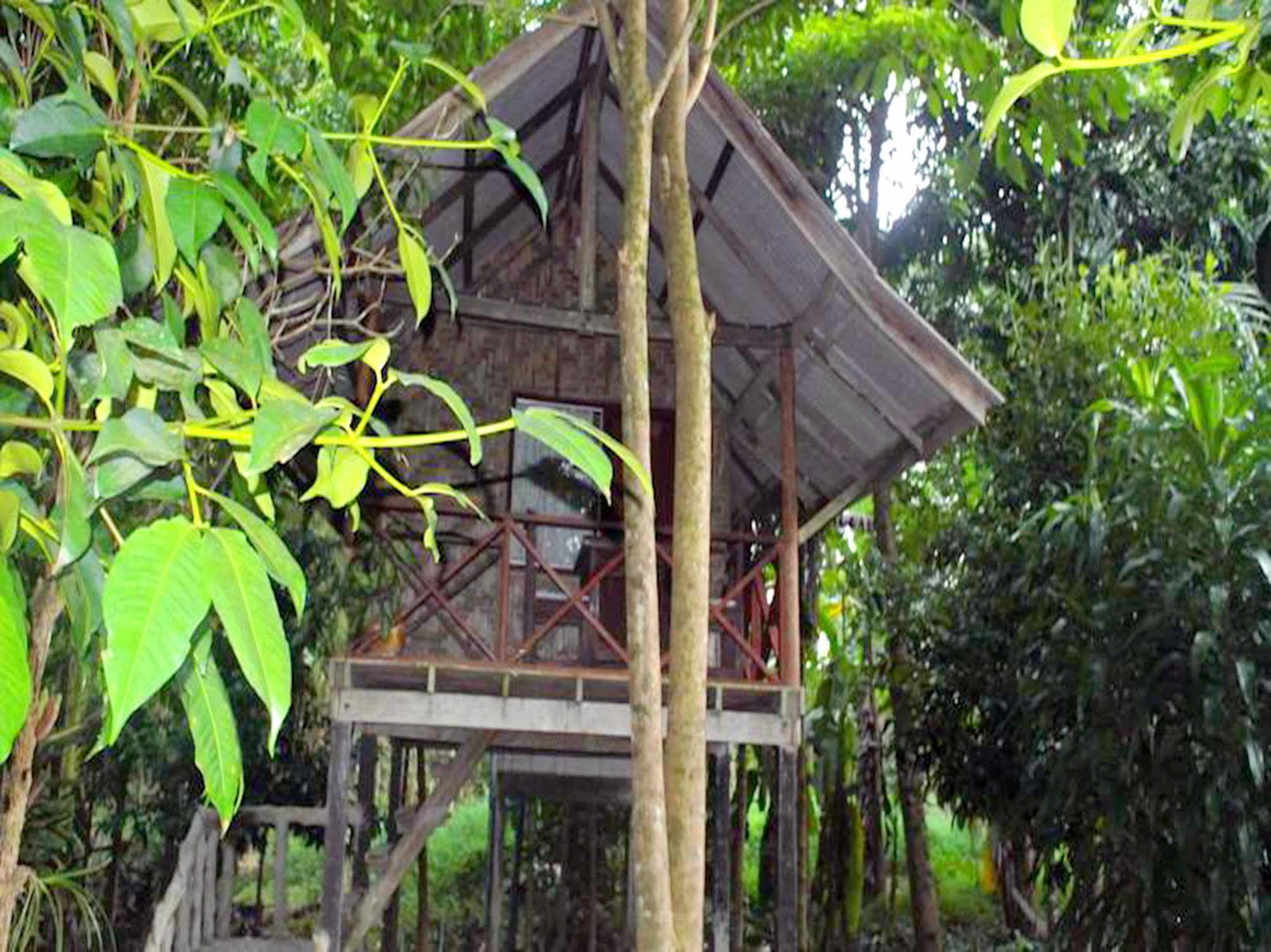 Khaosok Island Resort Khao Sok National Park Exterior foto